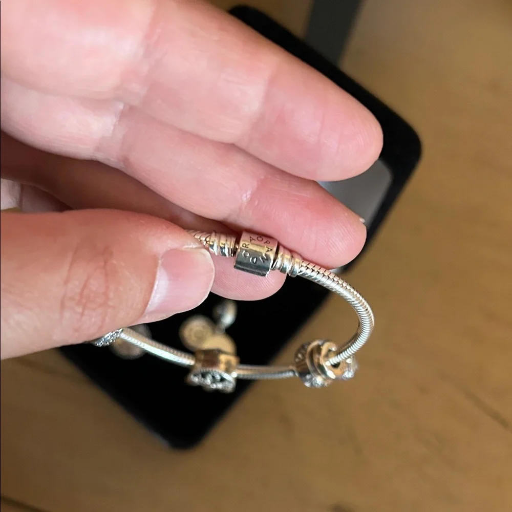 Pandora Sterling Silver Rope Bracelet 7.5 inches with 2 spacers and 6 charms! - Picture 10 of 12